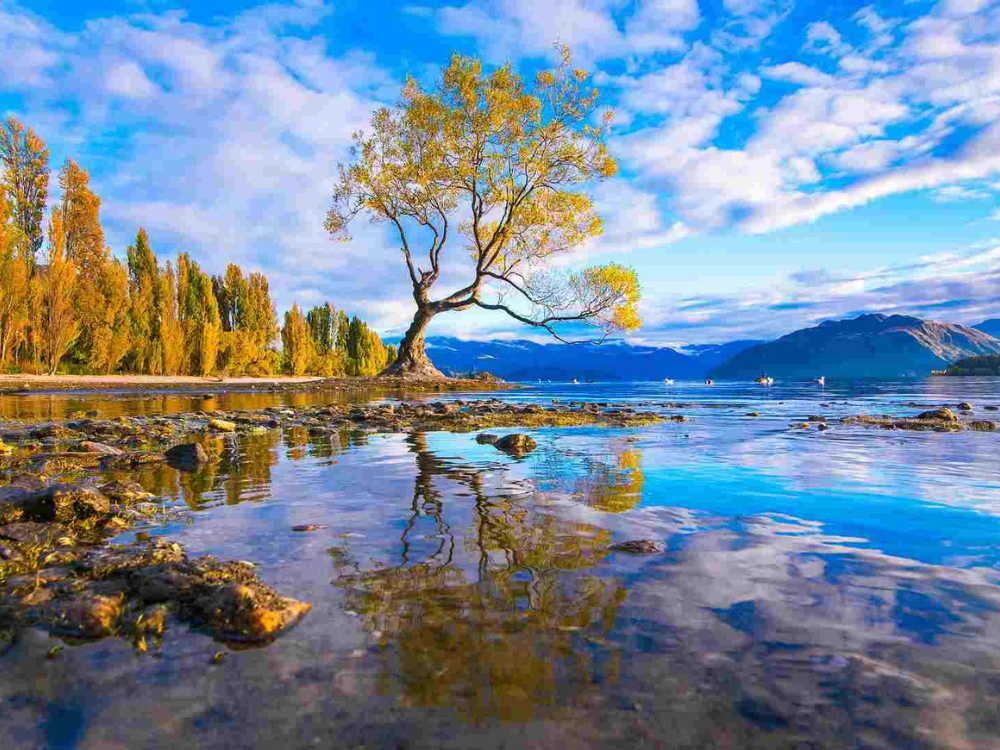 New Zealand Tour Packages