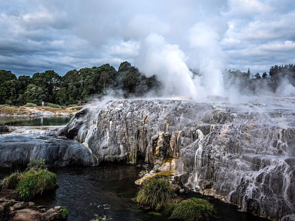 A Pure Veg 10-Day Adventure in New Zealand